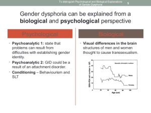 a2-psych-gender-dysphoria-5-638